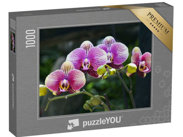 Puzzle 1000 Teile „Farbpracht: Orchideenblüte im tropischen Garten“