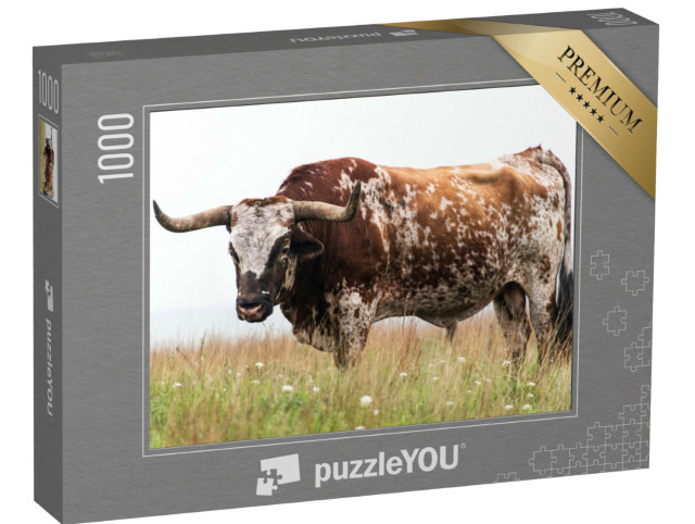 Puzzle 1000 Teile „Texas-Langhorn-Bulle im Wichita Mountains National Wildlife Refuge, Oklahoma“