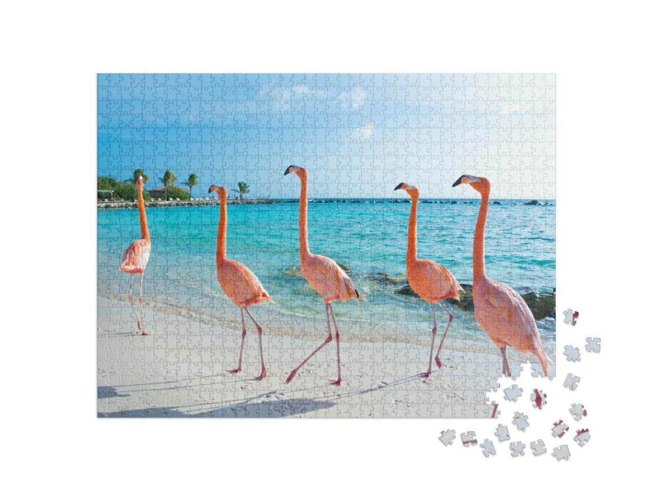 Puzzle 1000 Teile „Rosa Flamingo, Insel Aruba“