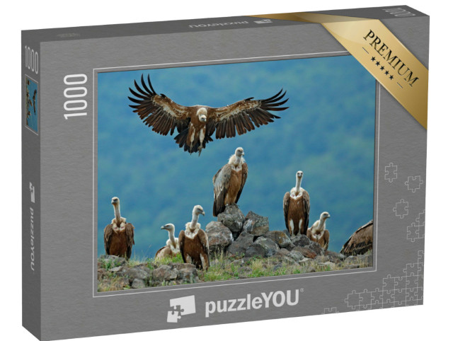 Puzzle 1000 Teile „Gruppe von Gänsegeiern in ihrem natürlichen Lebensraum“