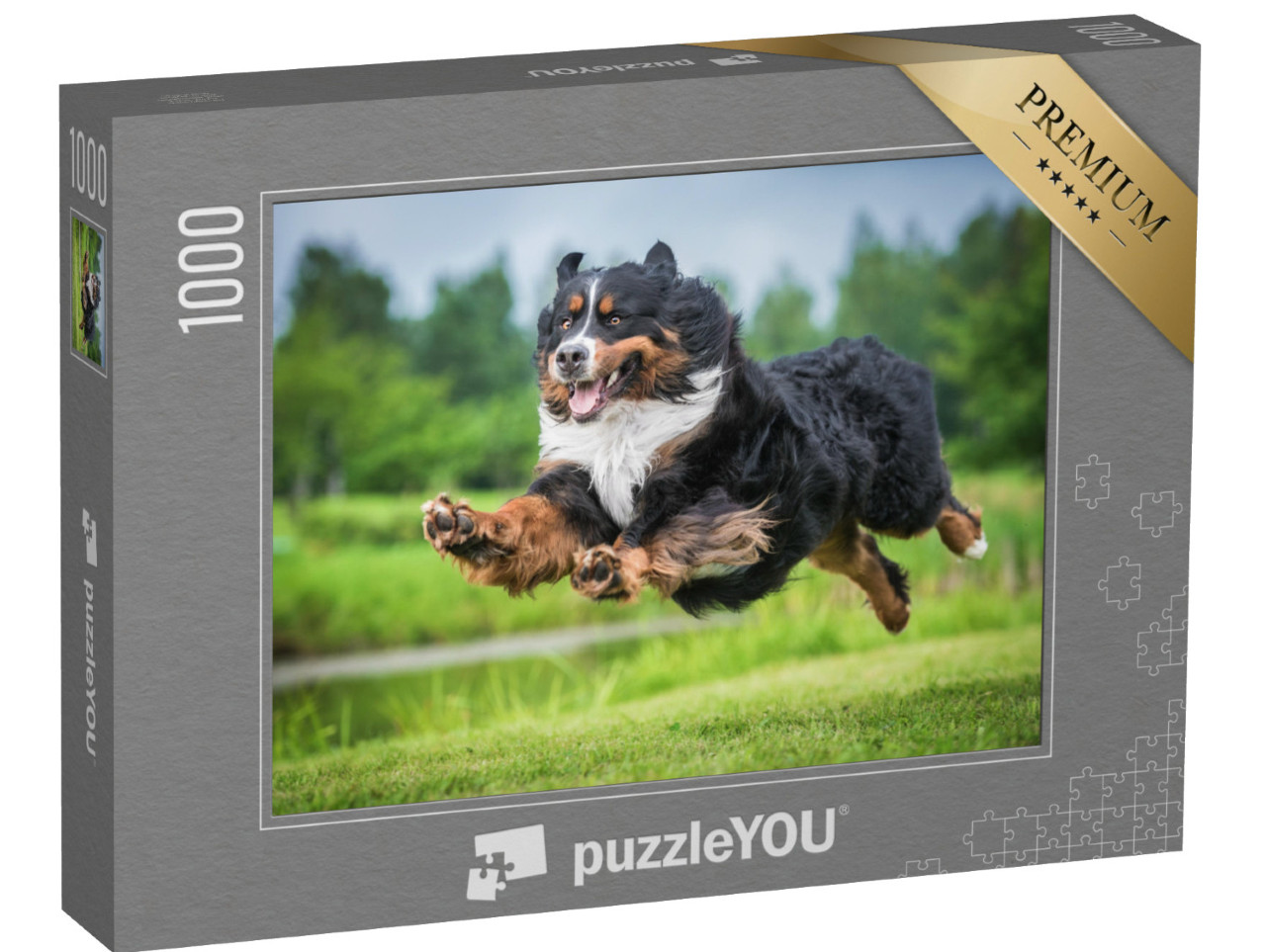 Puzzle 1000 Teile „Berner Sennenhund im Sprung“