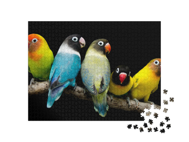 Puzzle 1000 Teile „Lovebird: Papagei mit prächtigen Farben“