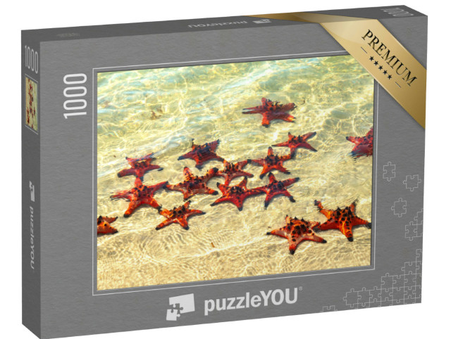 Puzzle 1000 Teile „Seesterne beim Sonnenbad“