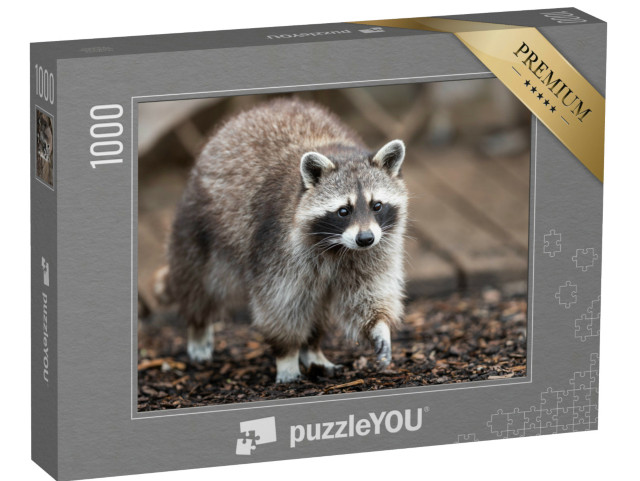 Puzzle 1000 Teile „Ein Waschbär durchstreift einen Garten“