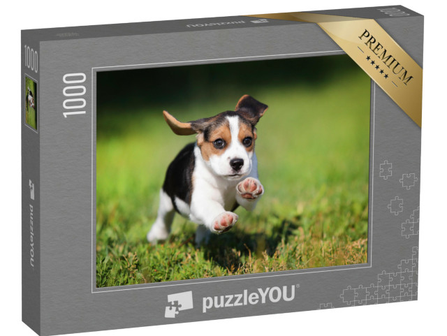 Puzzle 1000 Teile „glücklicher Beagle-Welpe, der im Gras läuft“