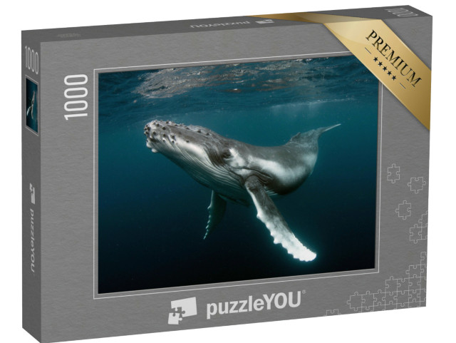 Puzzle 1000 Teile „Buckelwal-Kalb“