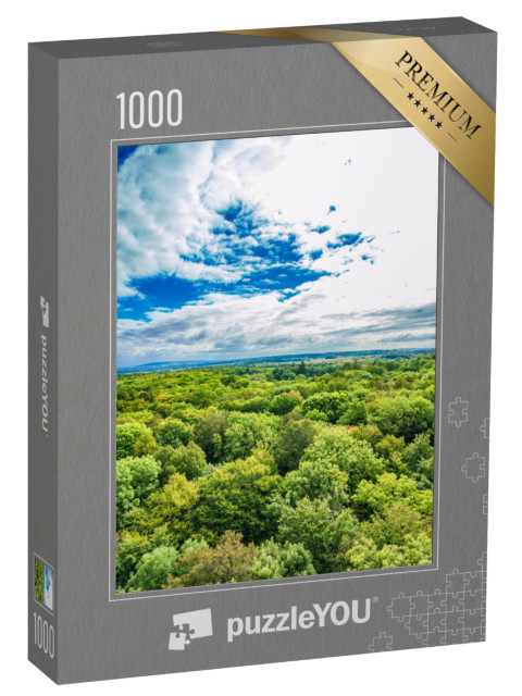 Puzzle 1000 Teile „Alte Buchenwälder des Nationalparks Hainich, Deutschland“