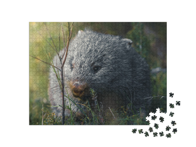 Puzzle 1000 Teile „Wombat auf seinem Snack-Run“