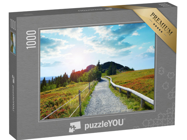 Puzzle 1000 Teile „Herbstlandschaft im Nationalpark Bayerischer Wald, Deutschland“