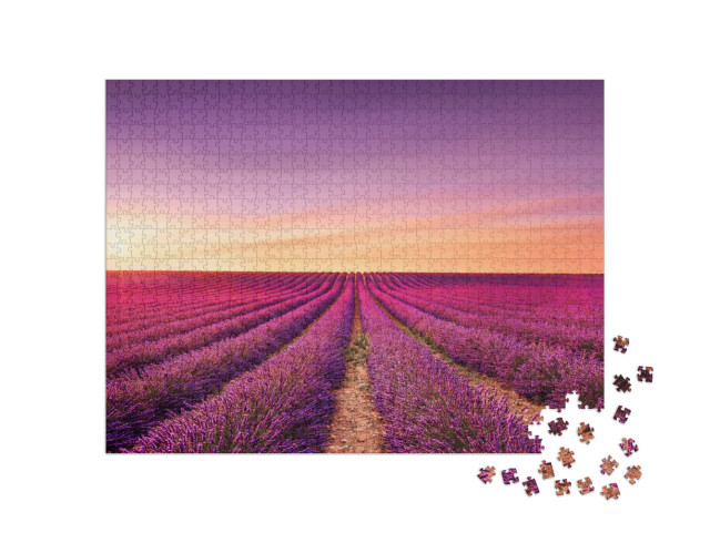 Puzzle 1000 Teile „Lavendelblüten: blühende Felder bei Sonnenuntergang, Provence, Frankreich“