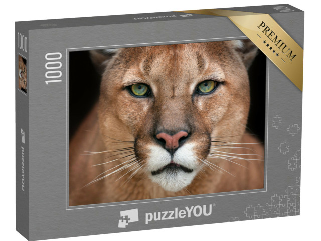Puzzle 1000 Teile „Nahaufnahme: Im Blick eines Pumas“