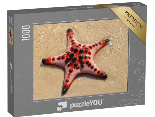 Puzzle 1000 Teile „Roter Seestern am Strand, Phu Quoc Insel, Vietnam“