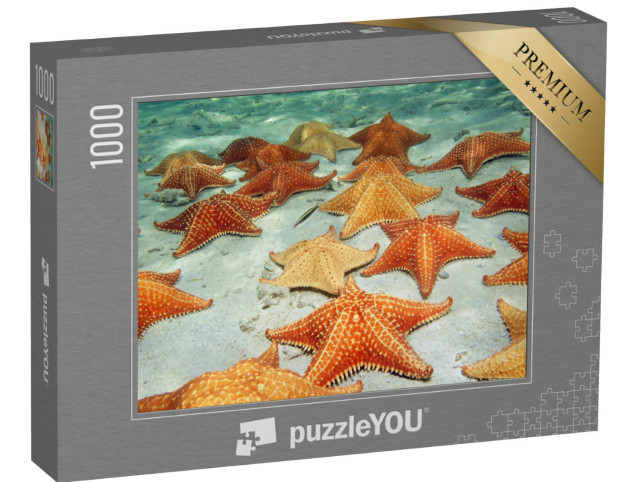 Puzzle 1000 Teile „Seesterne auf dem sandigen Meeresboden“