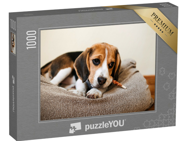 Puzzle 1000 Teile „Beagle mit einem Leckerli“