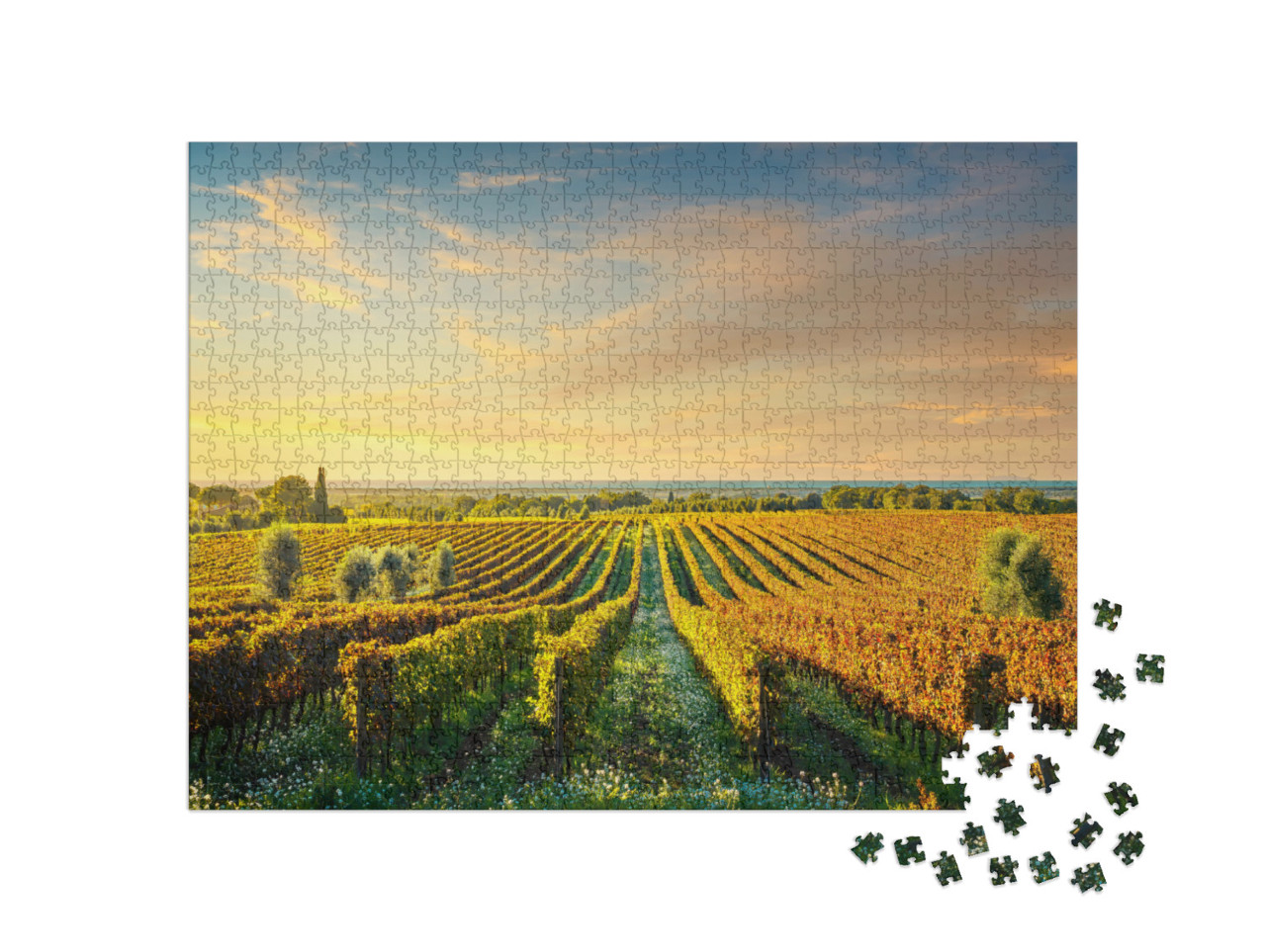 Puzzle 1000 Teile „Bolgheri Weinberg im Sonnenuntergang, Maremma, Toskana“