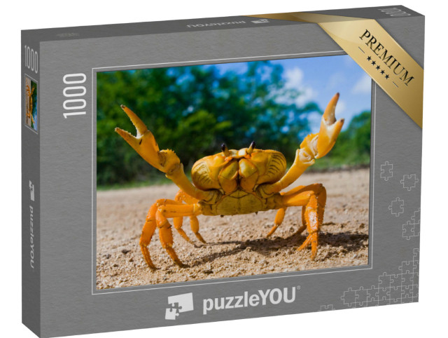 Puzzle 1000 Teile „Gelbe Landkrabbe auf Kuba“