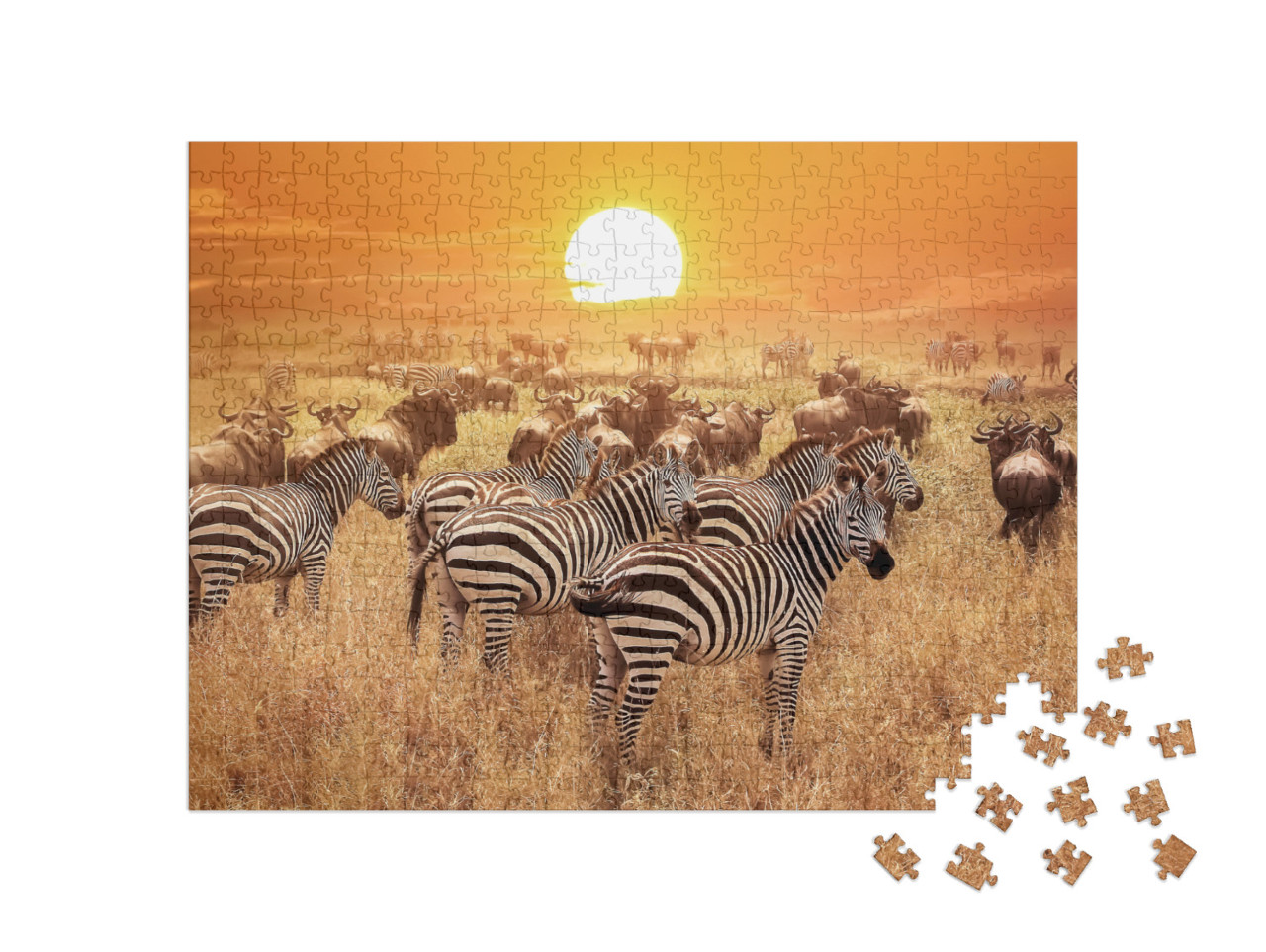 Puzzle 500 Teile „Zebra bei Sonnenuntergang im Serengeti-Nationalpark. Afrika. Tansania.“