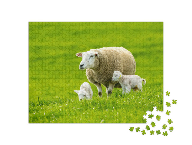 Puzzle 1000 Teile „Schaf mit neugeborenen Zwillingslämmern auf einer saftigen grünen Wiese im Frühling“