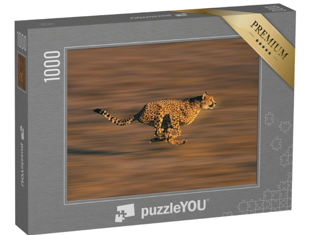 Puzzle 1000 Teile „Gepard in vollem Lauf“