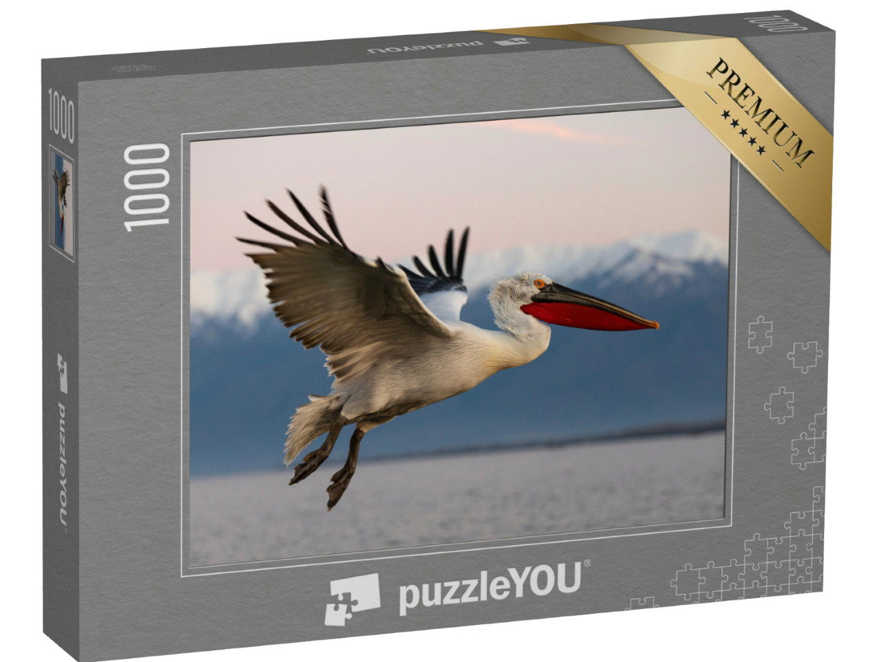 Puzzle 1000 Teile „Krauskopfpelikan im Flug über dem Kerkini-See, Griechenland“