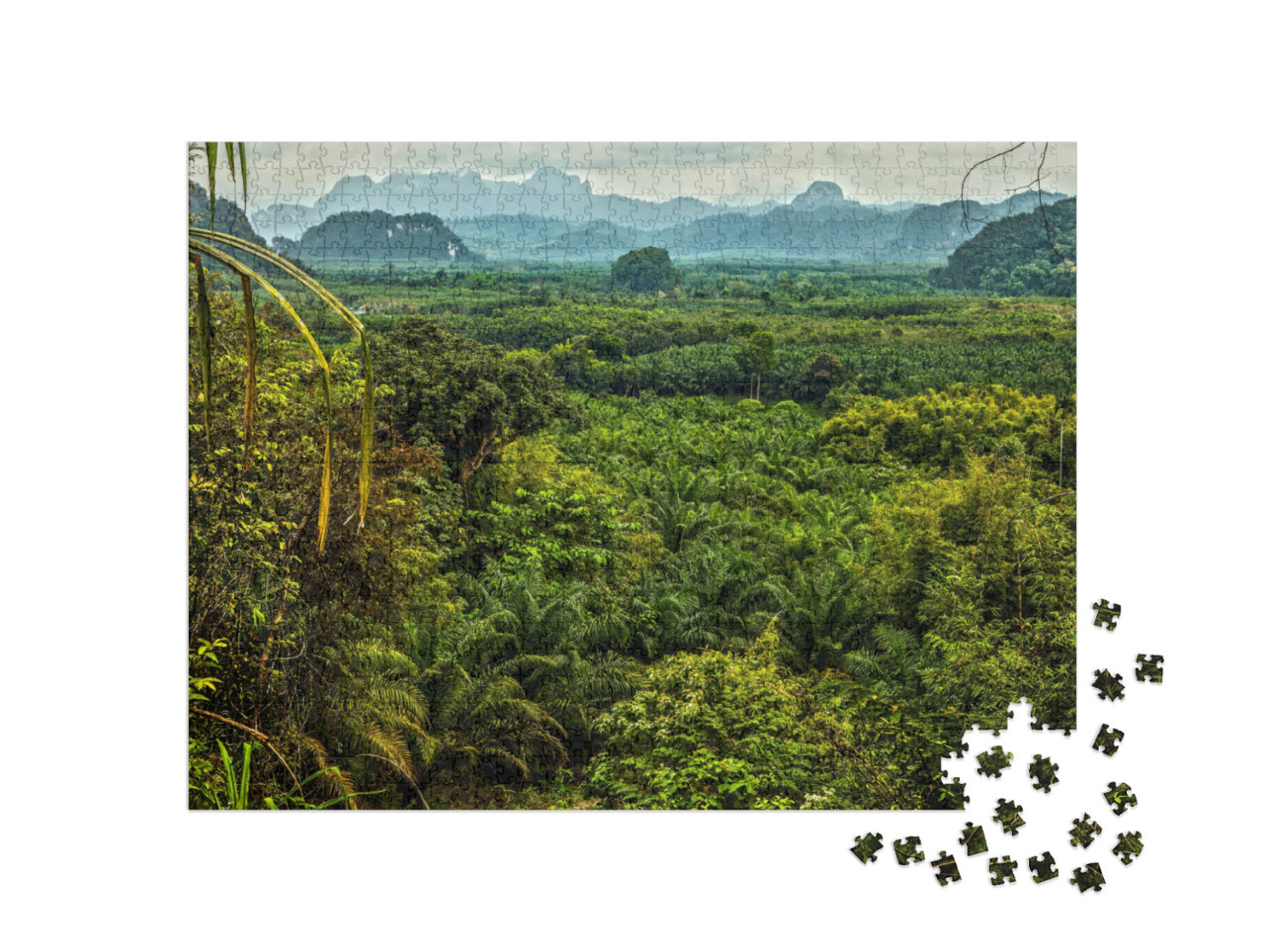 Puzzle 1000 Teile „Regenwaldlandschaft in Thailand“