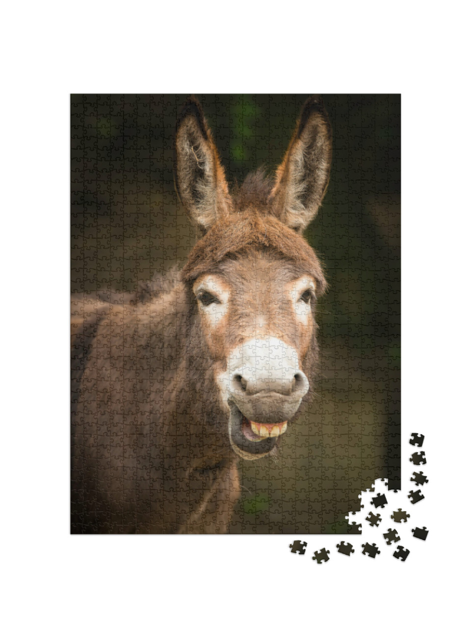 Puzzle 1000 Teile „Lustig: lächelnder Esel“