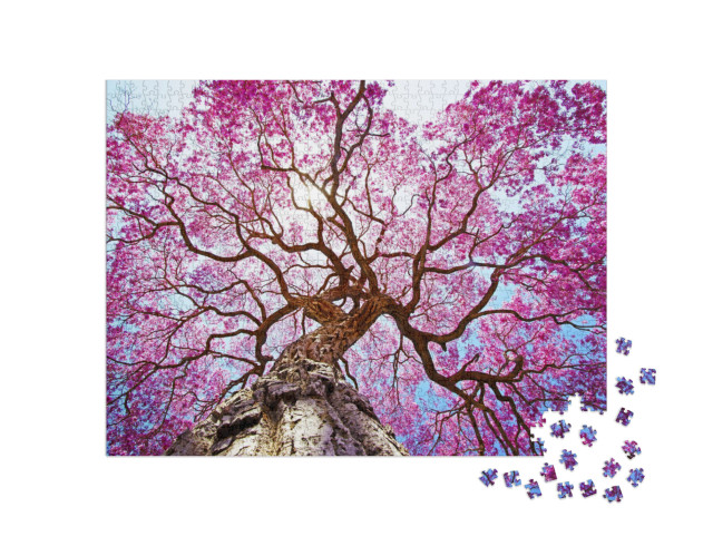 Puzzle 1000 Teile „Wunderschöner rosa Lapacho-Baum, Brasilien“