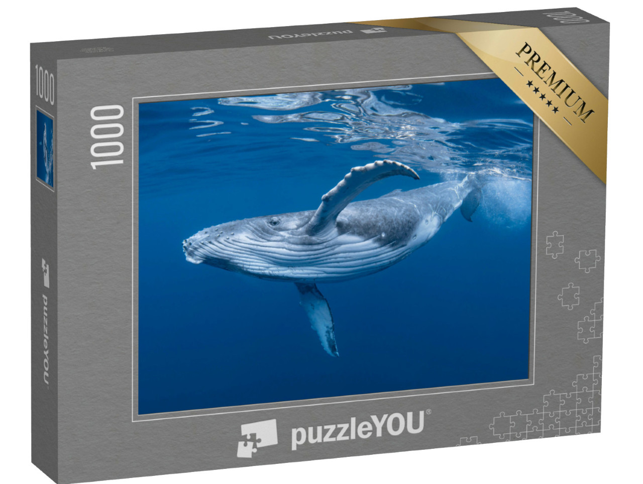 Puzzle 1000 Teile „Ein Buckelwalbaby spielt nahe der Oberfläche im blauen Wasser“
