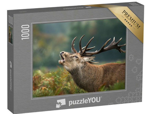 Puzzle 1000 Teile „Nahaufnahme eines röhrenden Rothirsches“