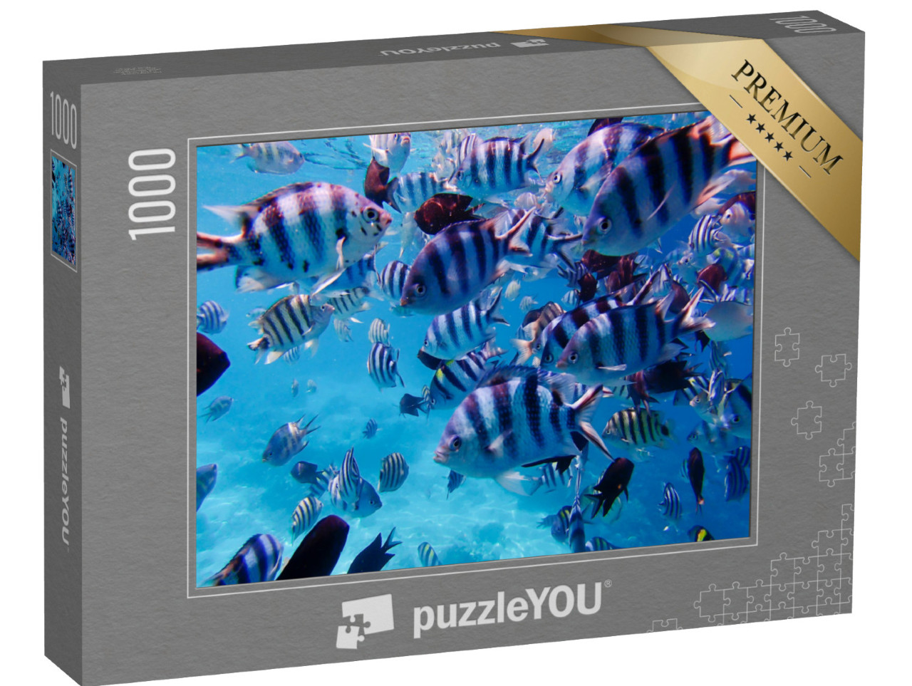 Puzzle 1000 Teile „Gruppe von bunten tropischen Fischen unter Wasser, Unterwasserwelt, Philippinen“