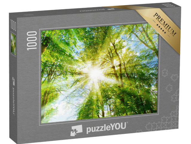 Puzzle 1000 Teile „Helle Sonnenstrahlen im Grün des Waldes“