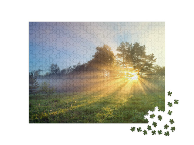Puzzle 1000 Teile „Waldwiese im frischen Sonnenaufgang“