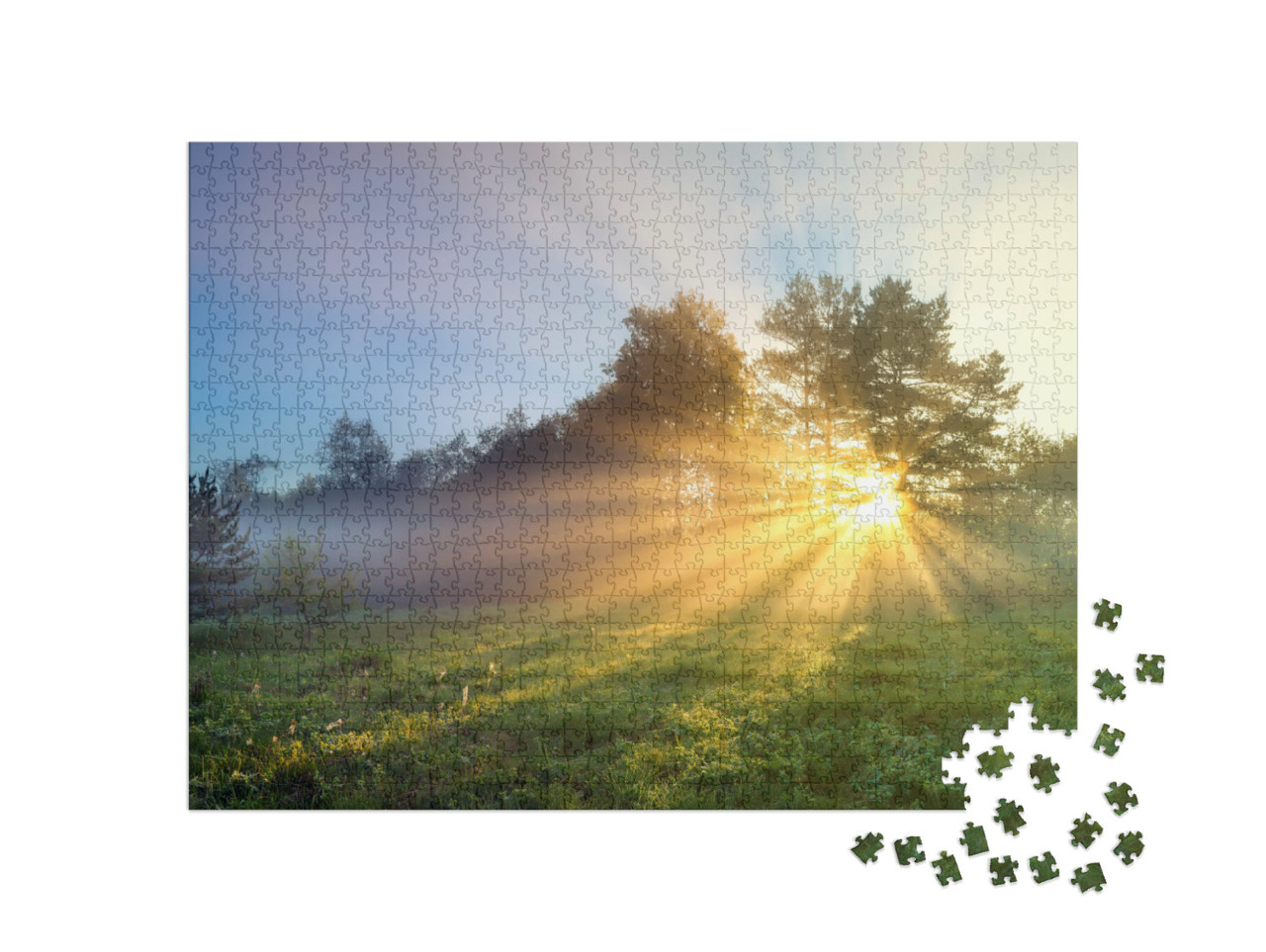 Puzzle 1000 Teile „Waldwiese im frischen Sonnenaufgang“