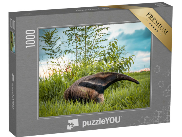 Puzzle 1000 Teile „Schöner Flaggenameisenbär auf einer Bonito-Farm in Brasilien“
