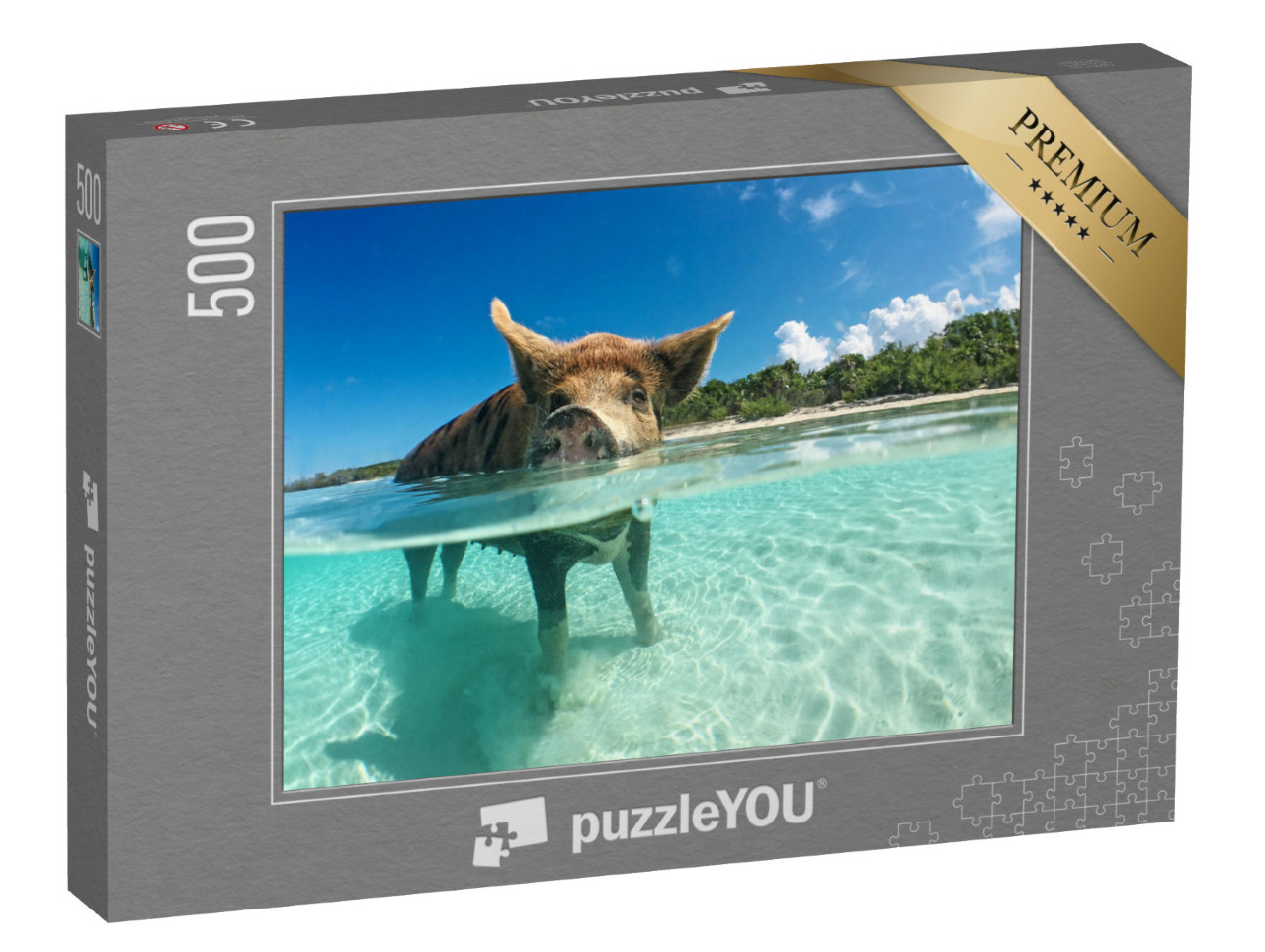 Puzzle 500 Teile „Wasserbegeistertes Wildschwein auf den Bahamas, Karibik“