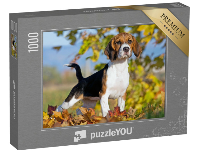 Puzzle 1000 Teile „Porträt eines netten Beagles“