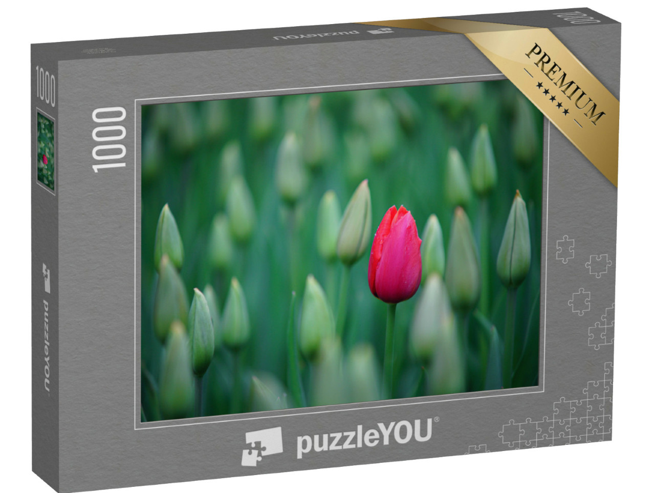 Puzzle 1000 Teile „Erste Tulpen zeigen ihre Blüten“
