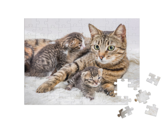 Puzzle 100 Teile „Katzenmutter und Katzenbaby, Kitten“