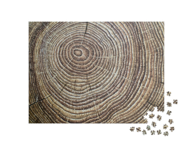 Puzzle 1000 Teile „Braun lackierte Jahresringe aus Holz“