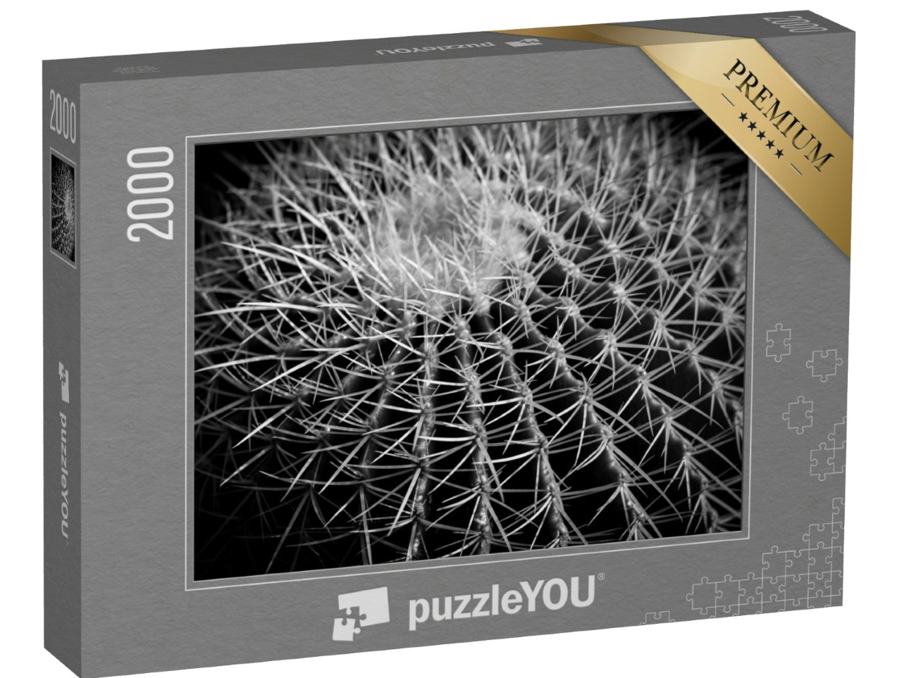 Puzzle 2000 Teile „Detailstudie: Kaktus schwarz-weiß“