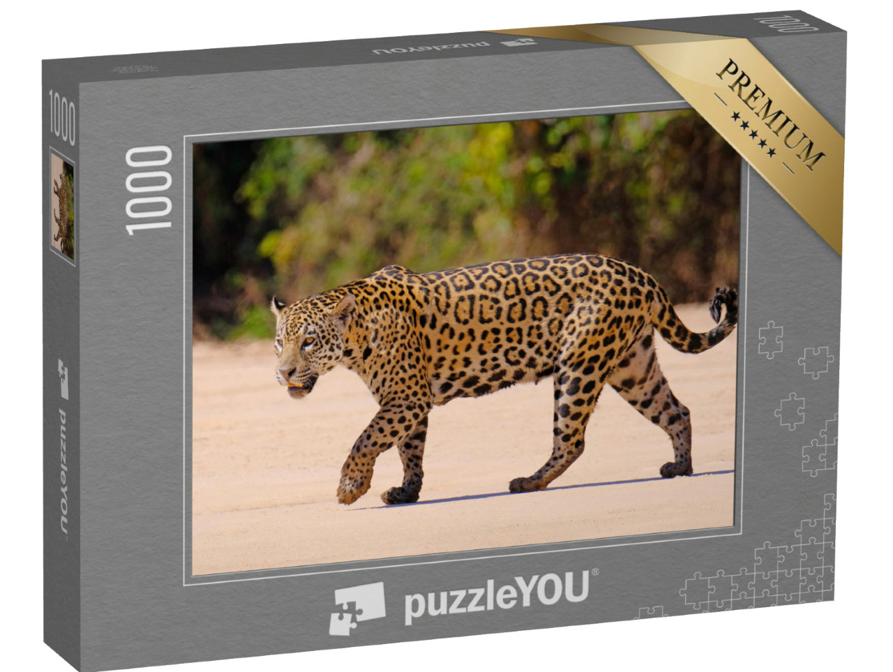 Puzzle 1000 Teile „Weiblicher Jaguar, Panthera Onca, Brasilien, Südamerika“