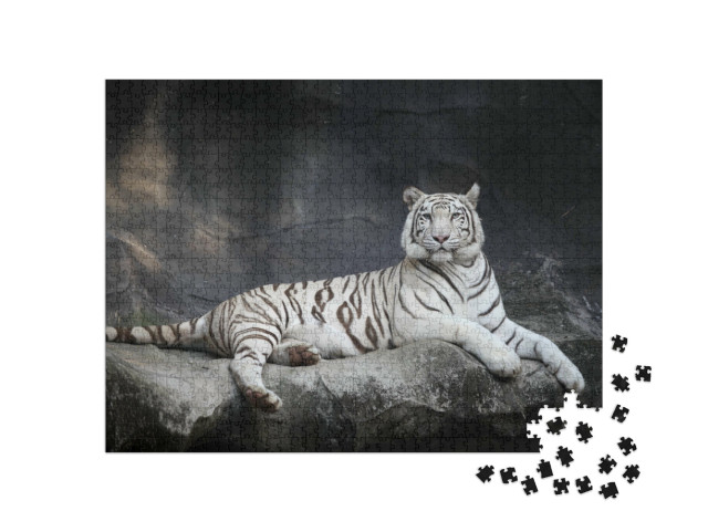 Puzzle 1000 Teile „Weißer Tiger, schwarz-weiß“