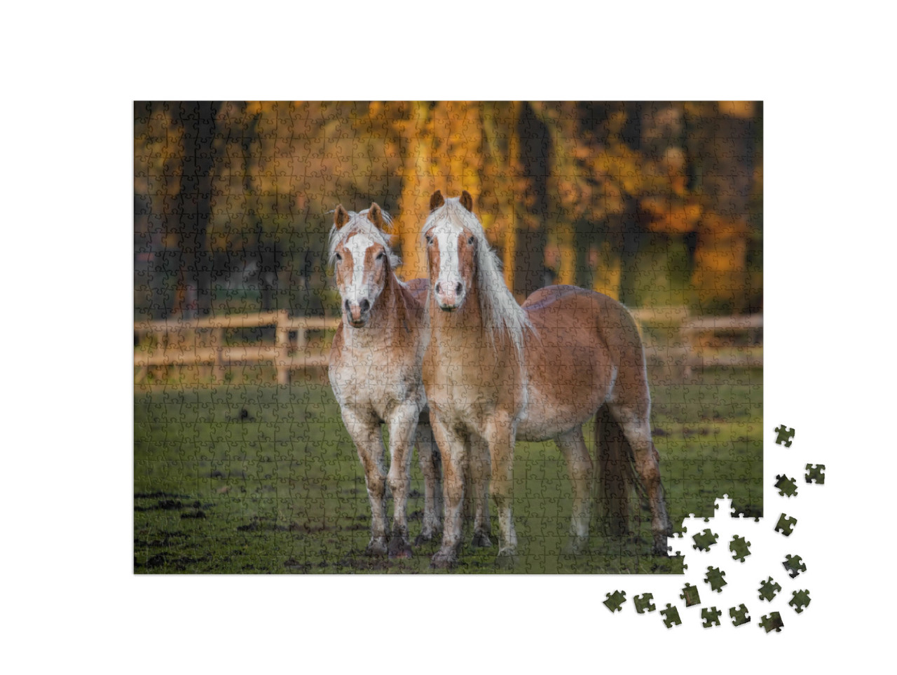 Puzzle 1000 Teile „Zwei Pferde auf einer hebstlichen Wiese“