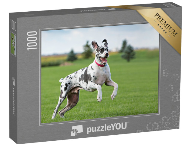 Puzzle 1000 Teile „Deutsche Dogge beim Toben auf der Wiese“