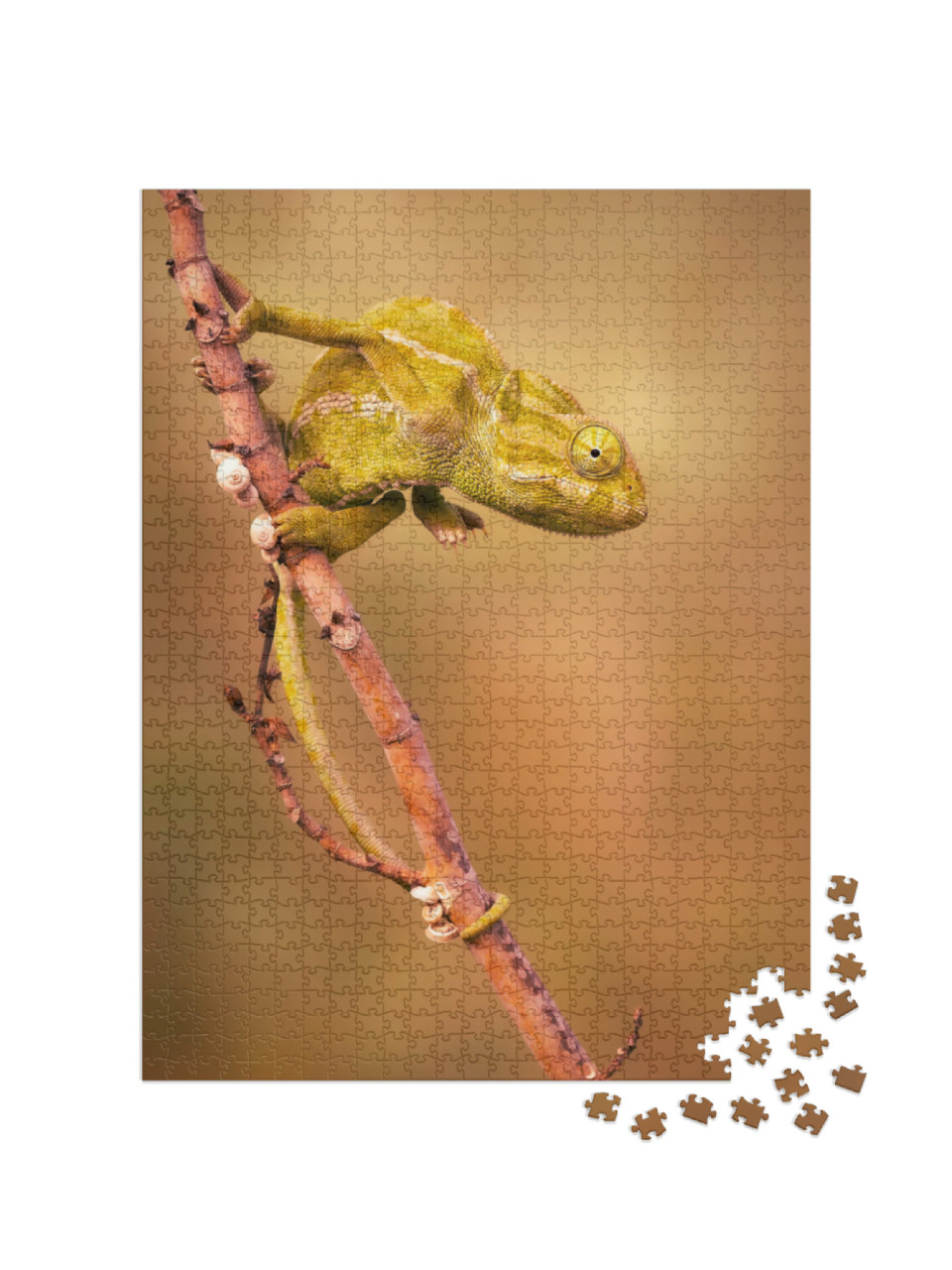 Puzzle 1000 Teile „Gewöhnliches Chamäleon (Chamaeleo chamaeleon)“