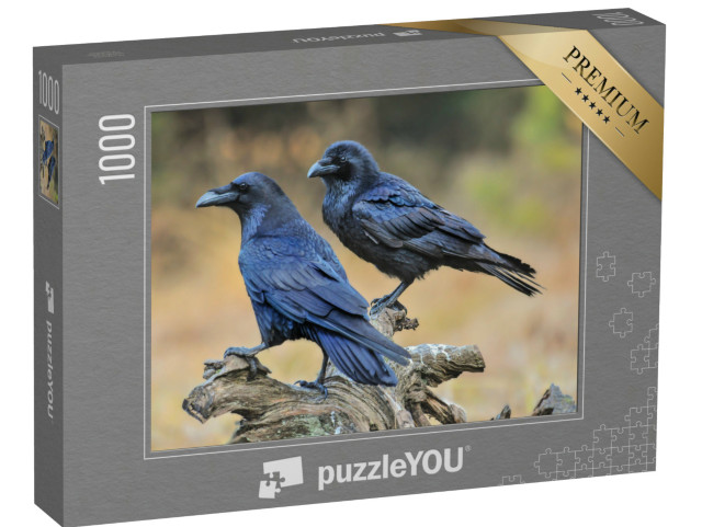 Puzzle 1000 Teile „Zwei Kolkraben auf einem Baumstumpf“