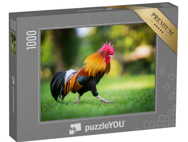 Puzzle 1000 Teile „Hahn stolziert über eine Wiese“