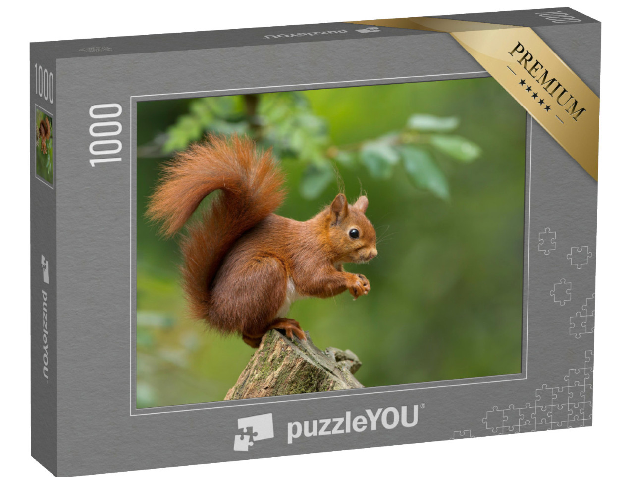 Puzzle 1000 Teile „Rotes Eichhörnchen“