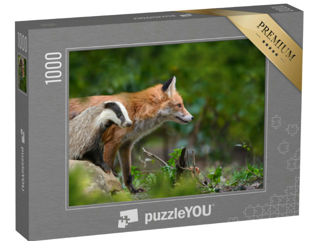 Puzzle 1000 Teile „Rotfuchs, Vulpes vulpes, und Dachs, Waldtiere“