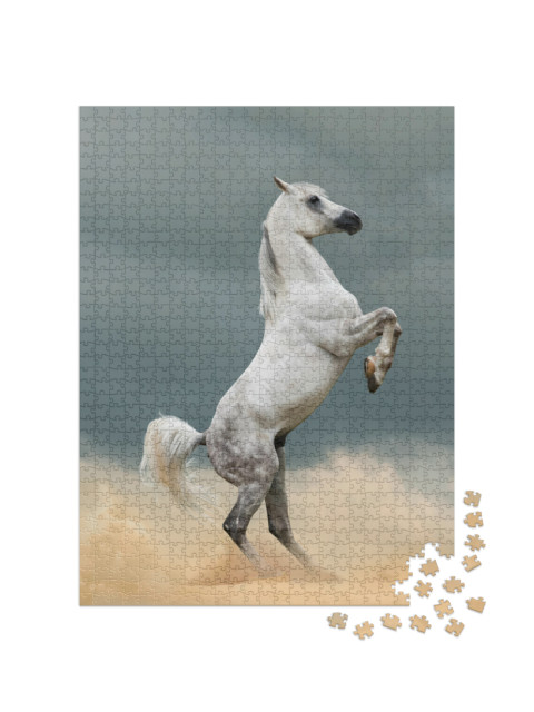 Puzzle 1000 Teile „Schöner Araberhengst, Prärie“